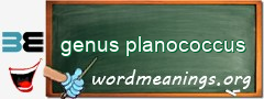 WordMeaning blackboard for genus planococcus